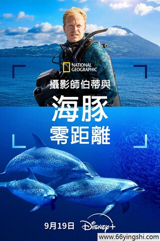 冷调主题片展